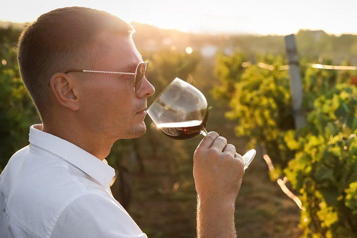 Kelowna Self-Guided E-Bike Wine Tour: Hidden Vines, SpearHead and Meadow Vista Mead (10/12)