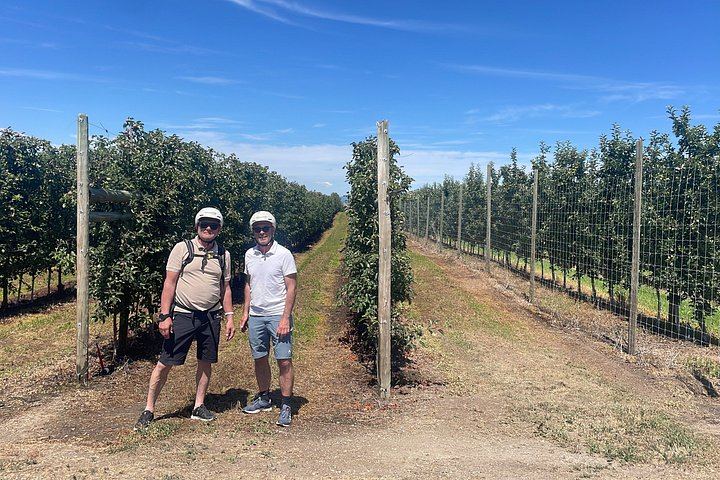 Kelowna Self-Guided E-Bike Wine Tour: Hidden Vines, SpearHead and Meadow Vista Mead (4/12)