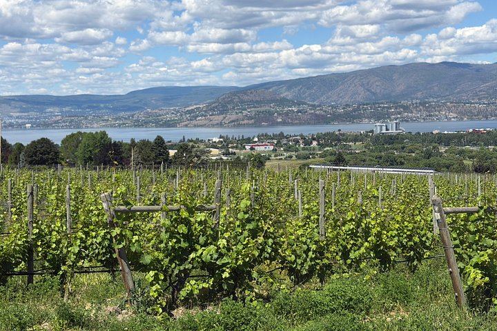 Kelowna Self-Guided E-Bike Wine Tour: Hidden Vines, SpearHead and Meadow Vista Mead (7/12)