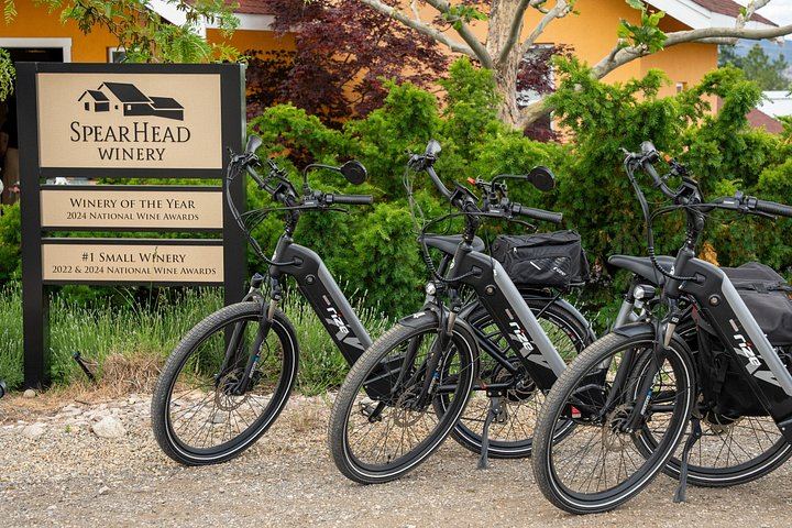 Kelowna E-Bike Wine and Mead Tour: 3 Tastings, Farm-to-Table Lunch, Local Guide (10/12)