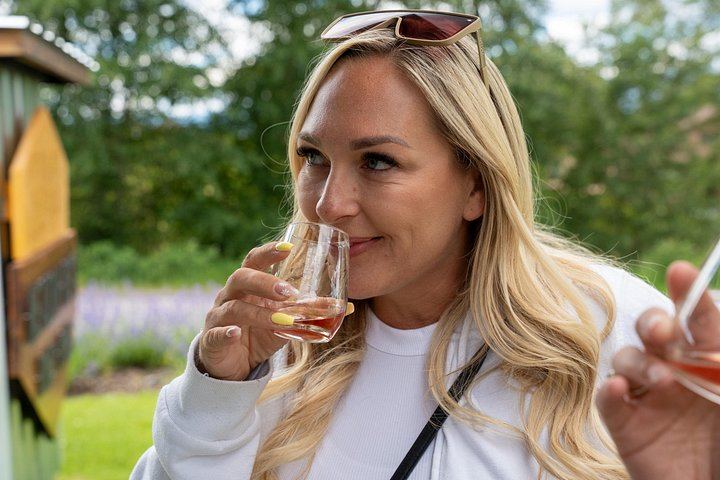 Kelowna E-Bike Wine and Mead Tour: 3 Tastings, Farm-to-Table Lunch, Local Guide (7/12)