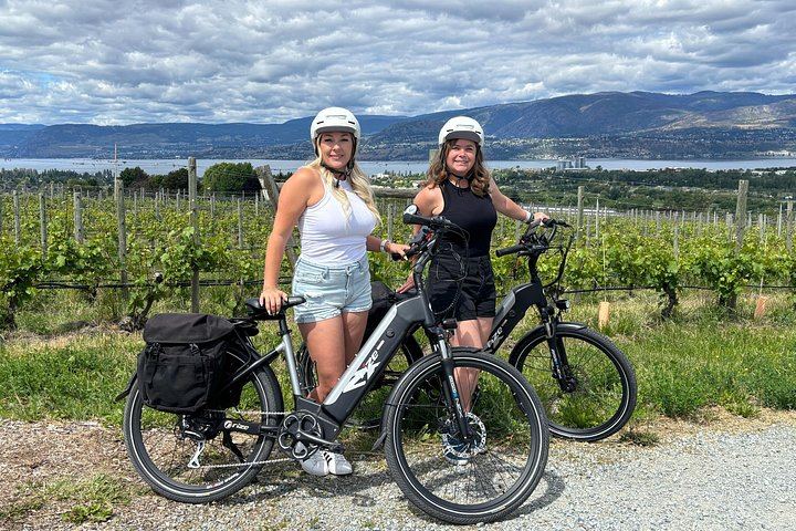 Kelowna E-Bike Wine and Mead Tour: 3 Tastings, Farm-to-Table Lunch, Local Guide (6/12)
