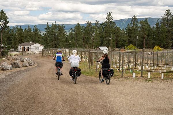 Kelowna E-Bike Wine and Mead Tour: 3 Tastings, Farm-to-Table Lunch, Local Guide