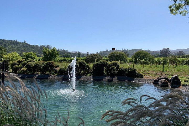 Concierge-Planned Private Napa and Sonoma Wine Tour, 6 to 8 Hours, Free Pickup (6/9)