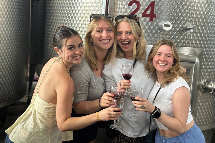 Kakheti Wine Day Tour from Tbilisi: 10 Tastings, Bodbe, Sighnaghi and Sunset Stop (7/12)