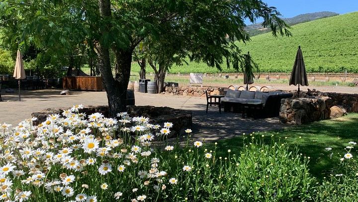 Concierge-Planned Private Napa and Sonoma Wine Tour, 6 to 8 Hours, Free Pickup (2/9)