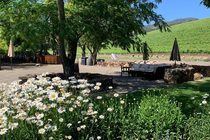 Concierge-Planned Private Napa and Sonoma Wine Tour, 6 to 8 Hours, Free Pickup (2/9)