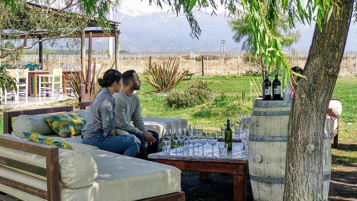 Private Uco Valley Wine Day with Driver: Bousquet, Salentein and Andean Lunch (1/12)