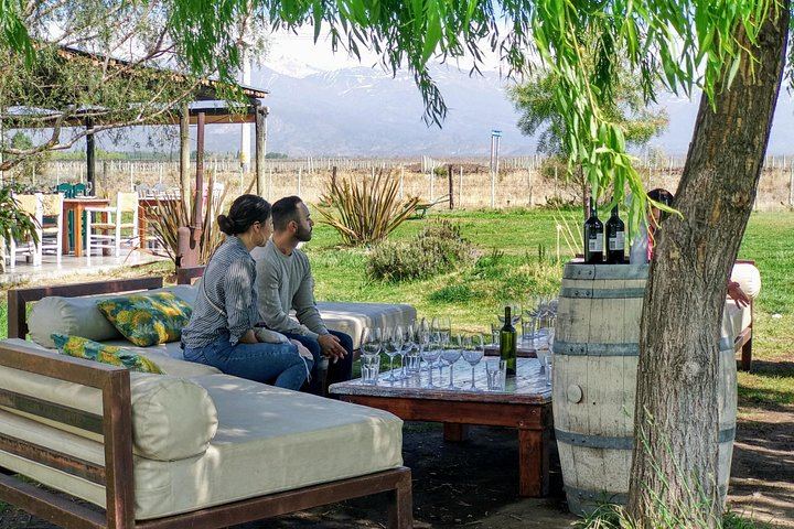 Private Uco Valley Wine Day with Driver: Bousquet, Salentein and Andean Lunch (1/12)