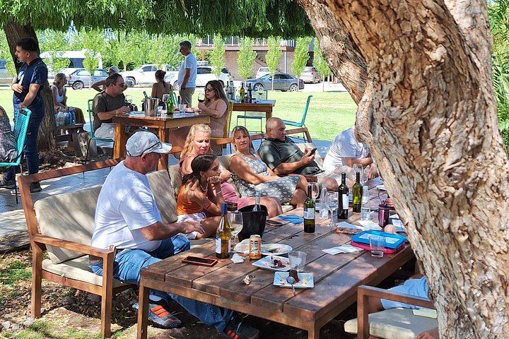 Private Uco Valley Wine Day with Driver: Bousquet, Salentein and Andean Lunch (12/12)