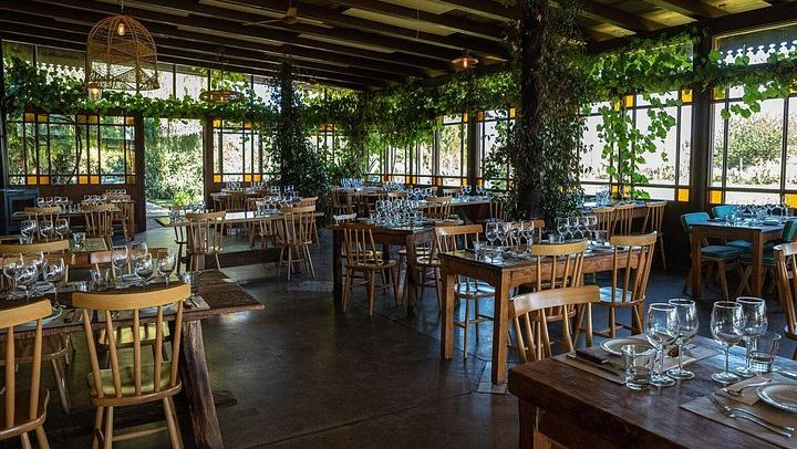 Private Uco Valley Wine Tour from Mendoza: La Azul Tasting and Bousquet Organic Lunch (4/12)