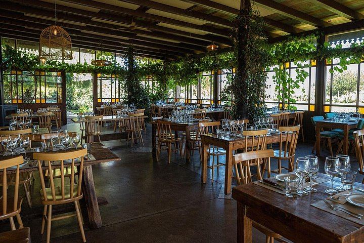 Private Uco Valley Wine Tour from Mendoza: La Azul Tasting and Bousquet Organic Lunch (4/12)