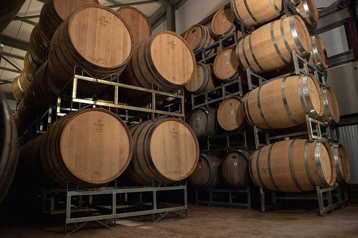Private Uco Valley Wine Tour from Mendoza: La Azul Tasting and Bousquet Organic Lunch (7/12)