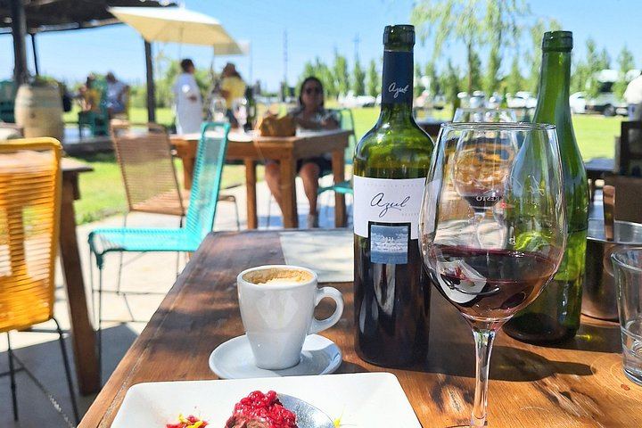 Private Uco Valley Wine Day with Driver: Bousquet, Salentein and Andean Lunch (9/12)
