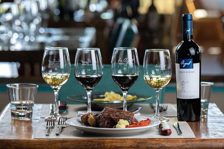 Private Uco Valley Wine Tour from Mendoza: La Azul Tasting and Bousquet Organic Lunch (5/12)