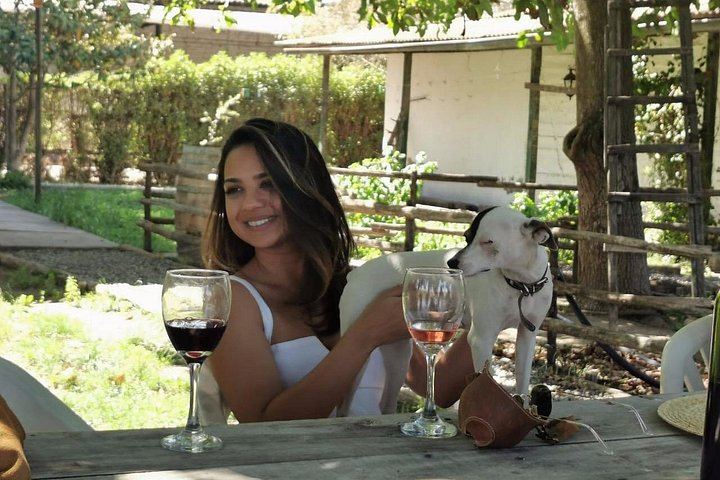 Little Wine Bus Day Trip to Isla de Maipo: Brunch, Wineries and River Lunch (8/12)