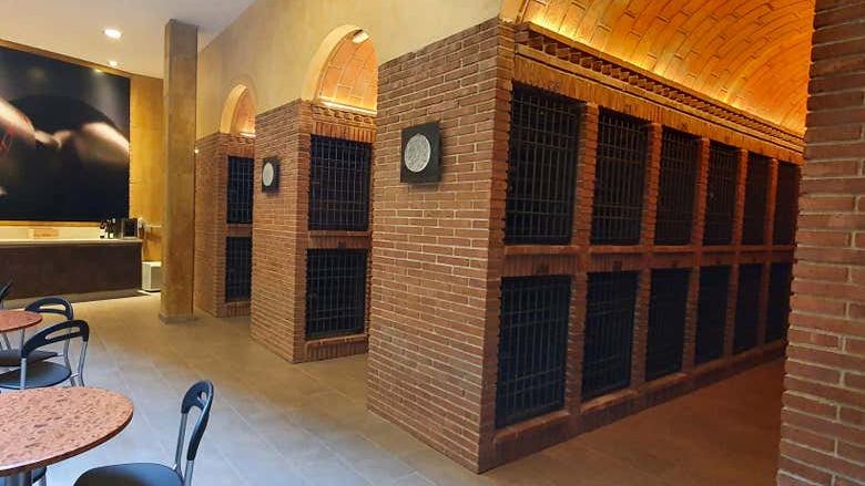 La Conreria Winery Tour in Priorat: Cellar Visit, Montsant Cliff Views and Four Wines (4/7)