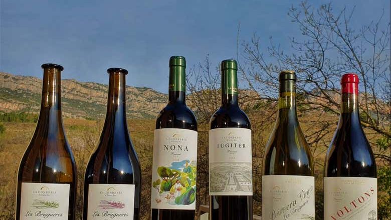 La Conreria Winery Tour in Priorat: Cellar Visit, Montsant Cliff Views and Four Wines (2/7)