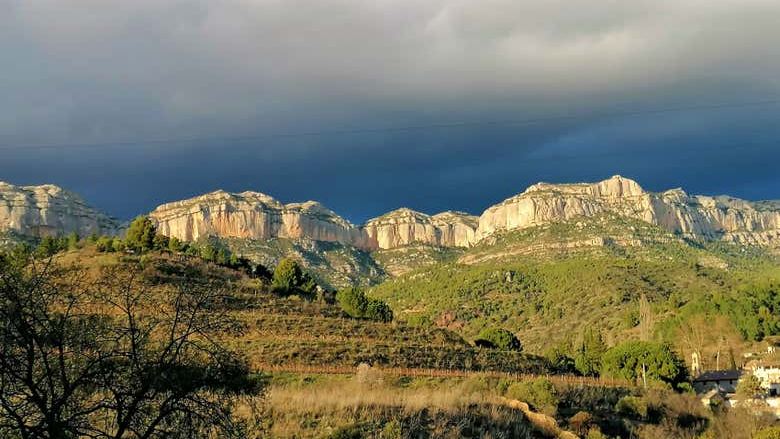 La Conreria Winery Tour in Priorat: Cellar Visit, Montsant Cliff Views and Four Wines (3/7)
