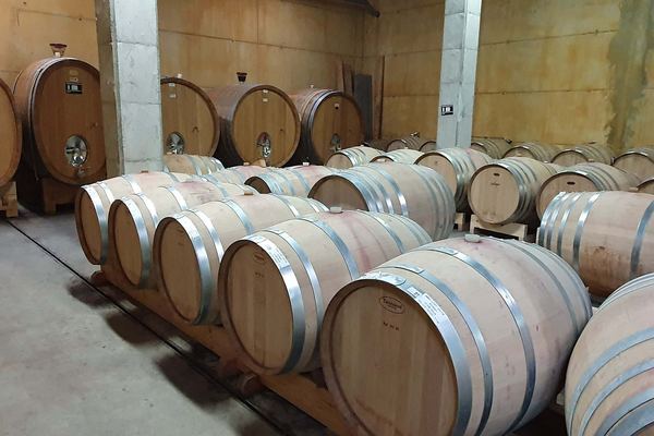 La Conreria Winery Tour in Priorat: Cellar Visit, Montsant Cliff Views and Four Wines