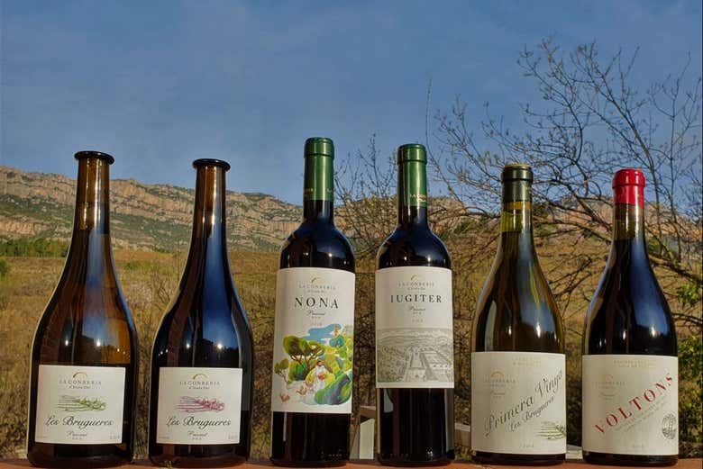 La Conreria Winery Tour in Priorat: Cellar Visit, Montsant Cliff Views and Four Wines (2/7)