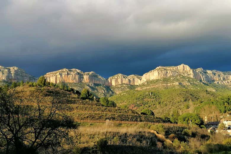 La Conreria Winery Tour in Priorat: Cellar Visit, Montsant Cliff Views and Four Wines (3/7)