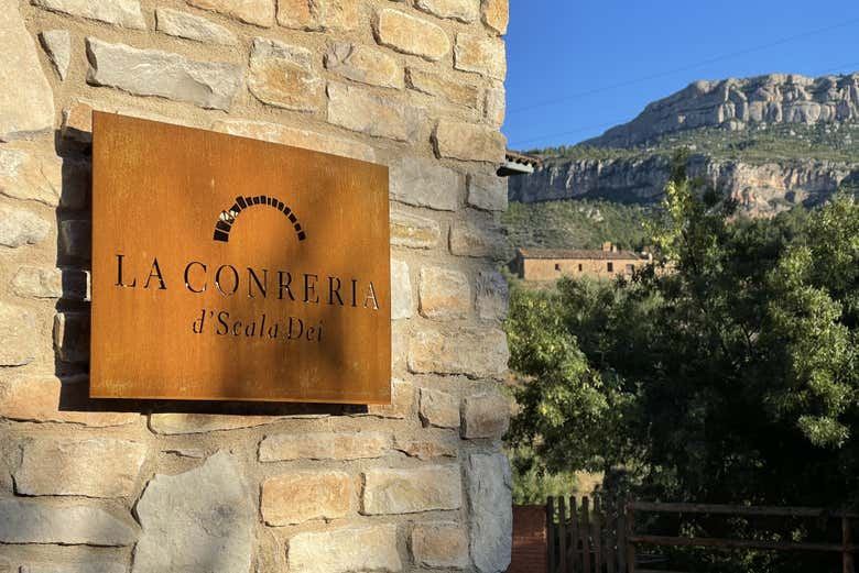 La Conreria Winery Tour in Priorat: Cellar Visit, Montsant Cliff Views and Four Wines (5/7)