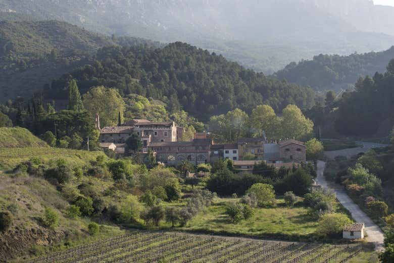 La Conreria Winery Tour in Priorat: Cellar Visit, Montsant Cliff Views and Four Wines (6/7)