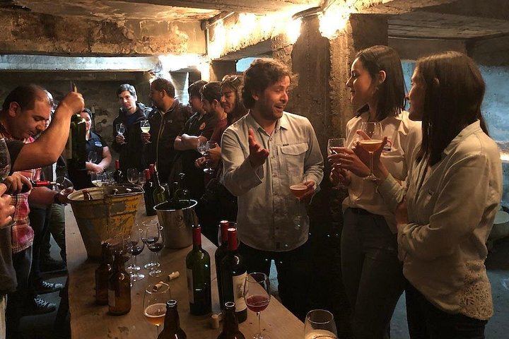 Little Wine Bus Day Trip to Isla de Maipo: Brunch, Wineries and River Lunch (11/12)