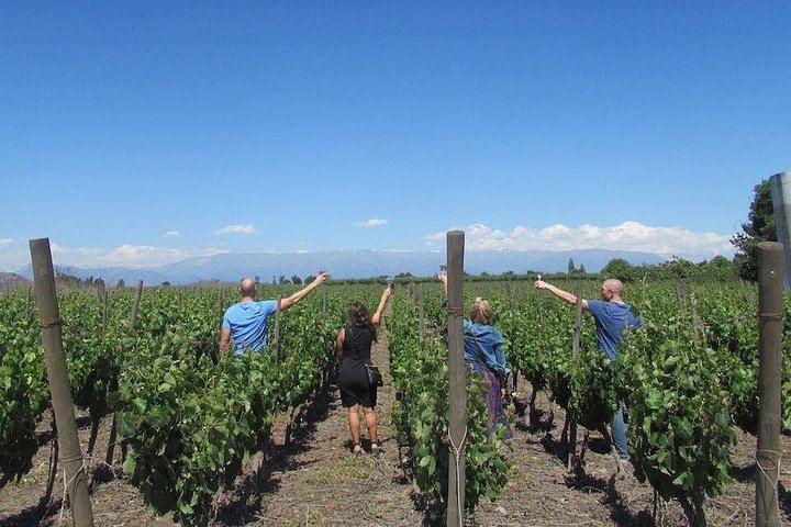 Little Wine Bus Day Trip to Isla de Maipo: Brunch, Wineries and River Lunch (5/12)