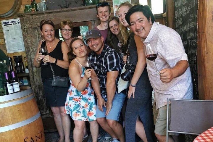 Little Wine Bus Day Trip to Isla de Maipo: Brunch, Wineries and River Lunch (4/12)