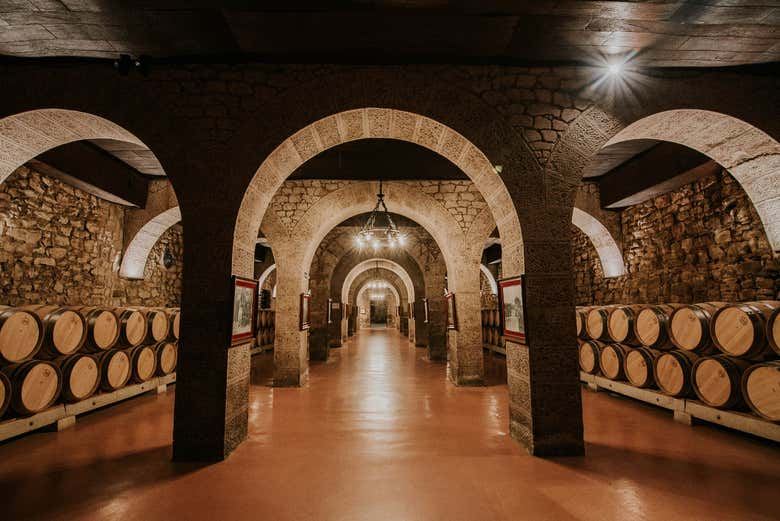Bodegas Franco-Españolas Guided Winery Tour and Tasting in Logroño (2/7)
