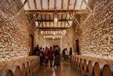 Bodegas Franco-Españolas Guided Winery Tour and Tasting in Logroño (4/7)