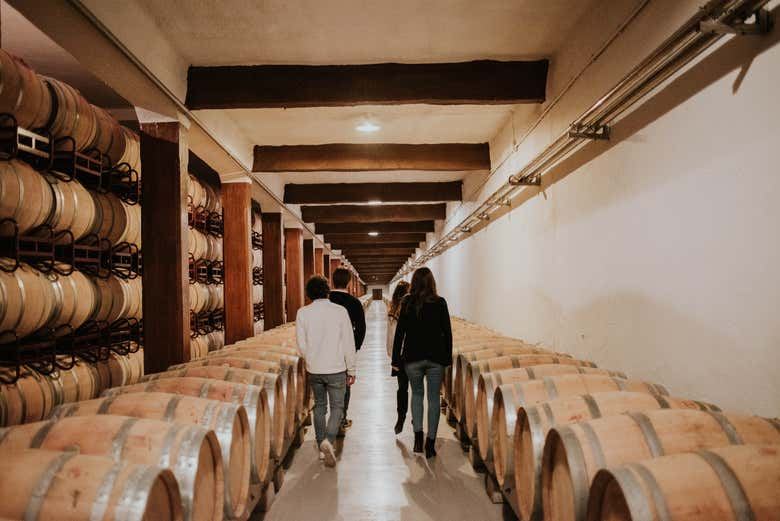 Bodegas Franco-Españolas Guided Winery Tour and Tasting in Logroño (6/7)