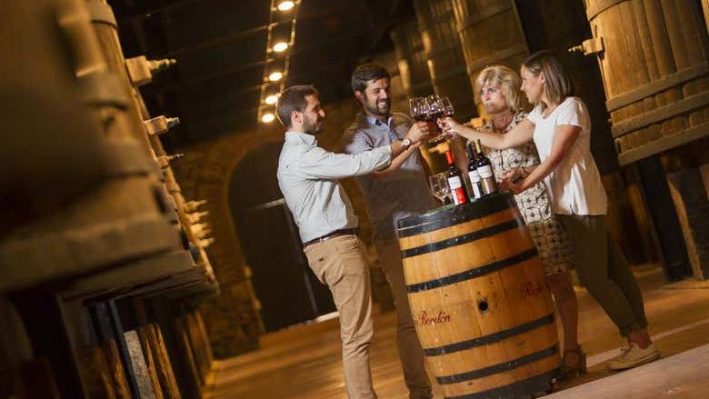 Bodegas Franco-Españolas Guided Winery Tour and Tasting in Logroño (1/7)
