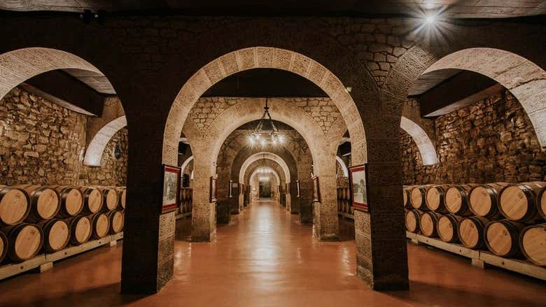 Bodegas Franco-Españolas Guided Winery Tour and Tasting in Logroño (2/7)