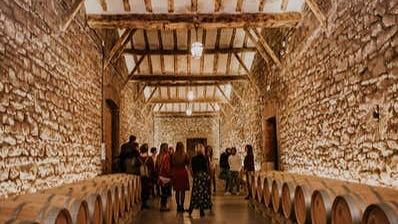 Bodegas Franco-Españolas Guided Winery Tour and Tasting in Logroño (4/7)