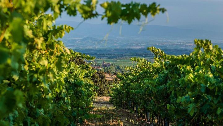 Small-Group Rioja Wine Tasting from Bilbao: Two Wineries, Pintxos in Laguardia (3/12)
