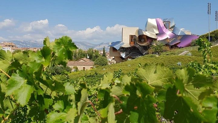 Small-Group Rioja Wine Tasting from Bilbao: Two Wineries, Pintxos in Laguardia (1/12)