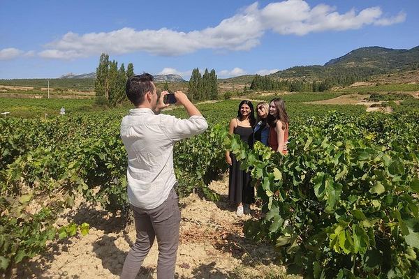 Private Rioja Winery Day from San Sebastian: Four-Course Riojan Lunch with Lamb Chops