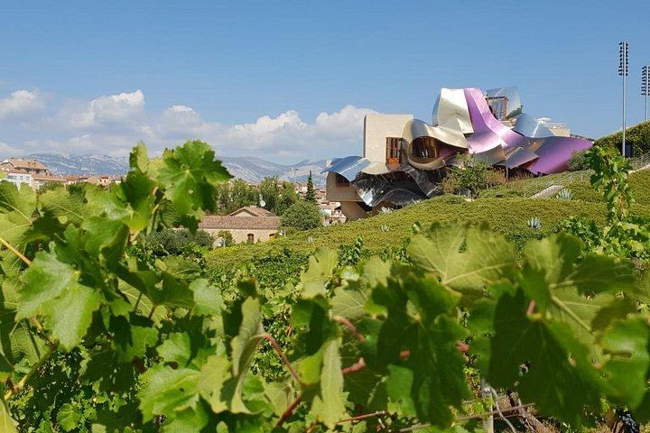 Small-Group Rioja Wine Tasting from Bilbao: Two Wineries, Pintxos in Laguardia (1/12)