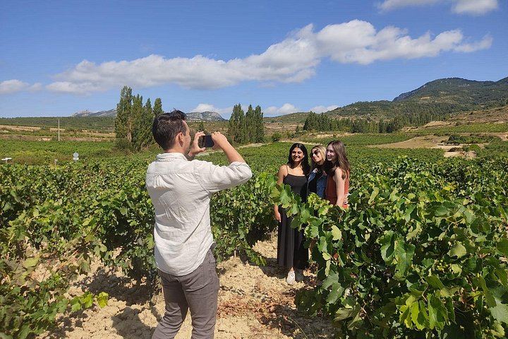 Small-Group Rioja Wine Tasting from Bilbao: Two Wineries, Pintxos in Laguardia (2/12)