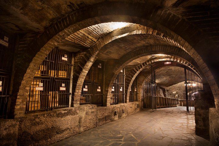 Small-Group Rioja Wine Tasting from Bilbao: Two Wineries, Pintxos in Laguardia (7/12)