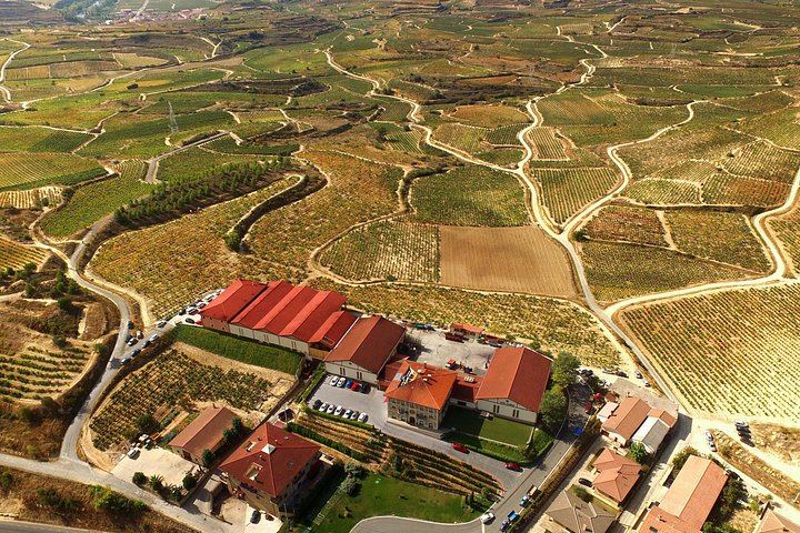 Rioja Wine Day from San Sebastian: Hotel Pick-Up, Two Wineries, Laguardia Lunch (12/12)