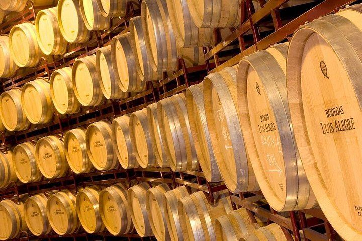 Small-Group Rioja Wine Tasting from Bilbao: Two Wineries, Pintxos in Laguardia (9/12)