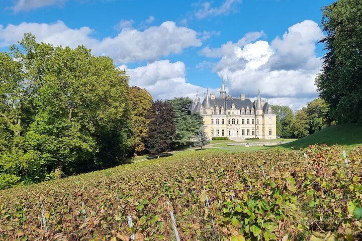 Private Champagne Day Trip from Paris, Licensed Guide: Two Houses and a Small Producer (7/12)