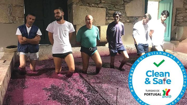 Premium Private Douro Valley Wine Tour with Hotel Pickup and Safe Travels (2/12)
