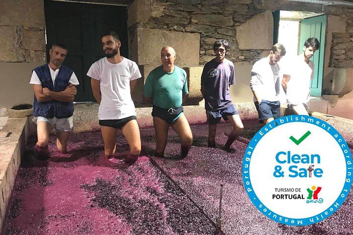 Premium Private Douro Valley Wine Tour with Hotel Pickup and Safe Travels (2/12)