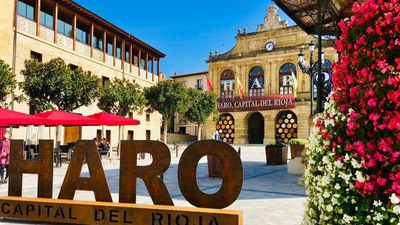 Laguardia and Haro Day Trip from Bilbao with Two Wineries, 8 Hours (3/9)
