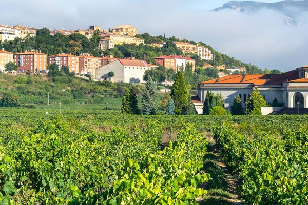 Laguardia and Haro Day Trip from Bilbao with Two Wineries, 8 Hours